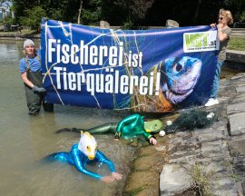 Fische 1