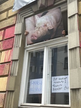 Besetzung 4