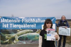 Fische 2