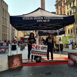 Aktivist:innen unter dem VGT-Zelt