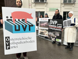 Vollspaltenboden Vergleich alt vs. neu