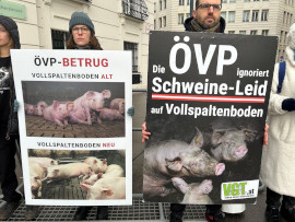 Vollspaltenboden Vergleich alt vs. neu