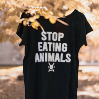 T-Shirt vom Sandy P. Peng