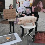 Landwirtschaftsminister Totschnig und sein Schweinsschnitzel: nur kein Stroh!