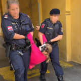 Unglaubliche Brutalität gegen Tierschutz bei Räumung ÖVP-Zentrale Innsbruck