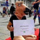 Tierschutzgedenken für Fiakerpferde am Stephansplatz