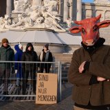Rollentausch: Rind hält vier Menschen auf 4 m² Vollspaltenboden vor Parlament
