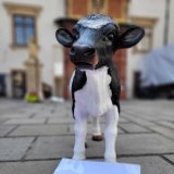 VGT- Demo gegen Drittlandexporte von schwangeren Kühen