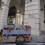 VGT-Aktion vor ÖVP-Zentrale gegen rechtswidrige Exporte von schwangeren Rindern nach Algerien