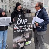 Tierschutzminister Rauch fordert Stroh für Schweine und kurze Übergangsfrist