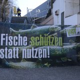 VGT-Aktivist:innen überraschten bei der Welser Fischereimesse