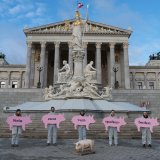 VGT-Aktion zeigt: der Vollspaltenboden macht alle Schweine krank!
