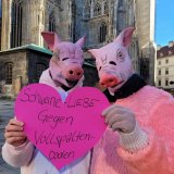 Einladung zum Valentinstag: VGT-Aktion