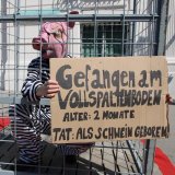 Einladung VGT-Aktion: Schweine gefangen auf Vollspaltenboden