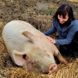 VGT-Aktivist:innen helfen am Lebenshof „Ferkelfroh“