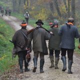 VGT-Obmann zu Pröll Gastkommentar Presse: Jagd- und Forstwirtschaft haben versagt!