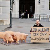 VGT zeigt auf: bei Neubauten ist seit 2023 erst recht wieder ein Vollspaltenboden erlaubt