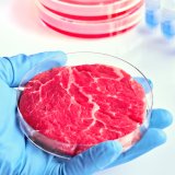 VGT zu Hannes Royer: Kulturfleisch und biodiverse Wildnis größte Zukunftshoffnung