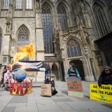 Vegan Earth Day 2024: VGT-Aktion für pflanzliche Ernährungswende