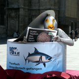 VGT-Aktion: Fischleid aus der Dose