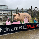 Einladung: Riesenschwein Grunzi tourt durch Kärnten