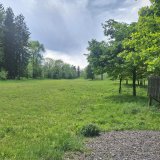 Auflösung Jagdgatter Mayr-Melnhof: Tierbestand bereits stark reduziert