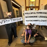 Tierschützer:innen besetzen Eingang zum Landwirtschaftsministerium