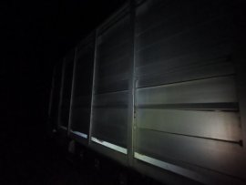 Tiertransporter 1