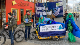 Demozug in der Mariahilfe Straße