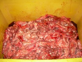 Schlachtabfälle