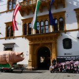 Es reicht: Nach Aufdeckung Schweinequal auf Vollspaltenboden fordert VGT Konsequenzen!