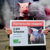 Internationaler Tag der „Versuchstiere“: VGT fordert Reform des Tierversuchsgesetzes