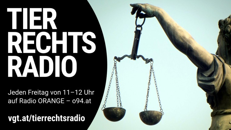 Bild zu dieser Radiosendung