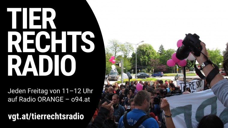 Bild zu dieser Radiosendung