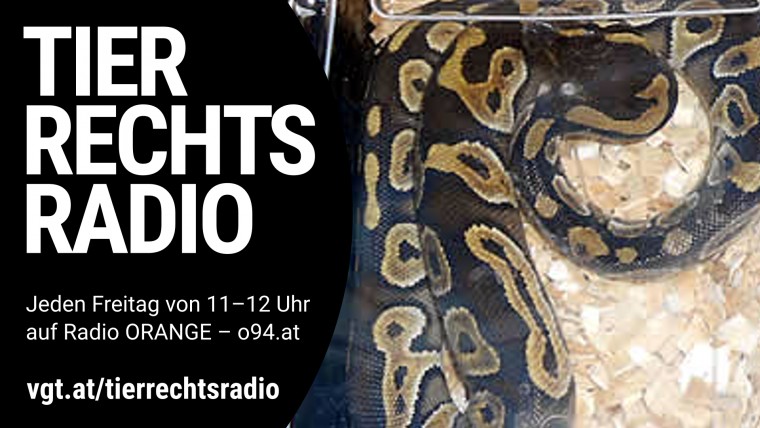 Bild zu dieser Radiosendung