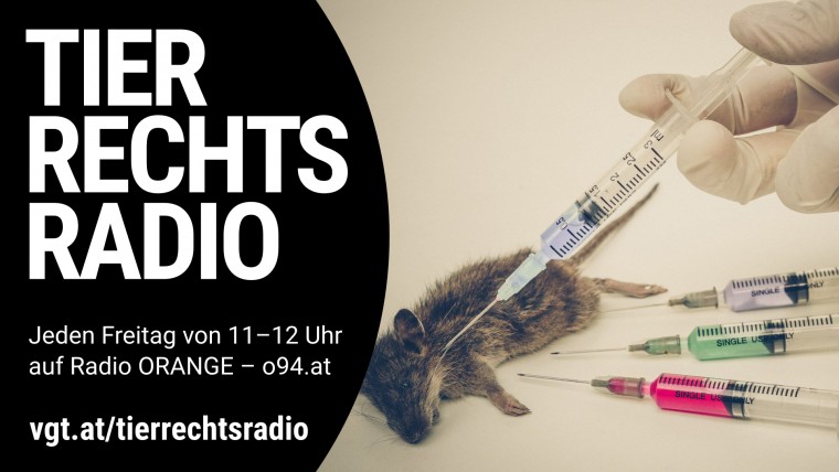 Bild zu dieser Radiosendung