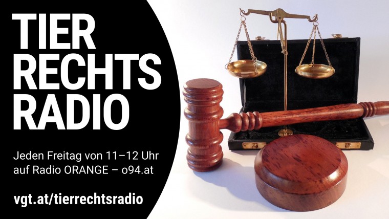 Bild zu dieser Radiosendung