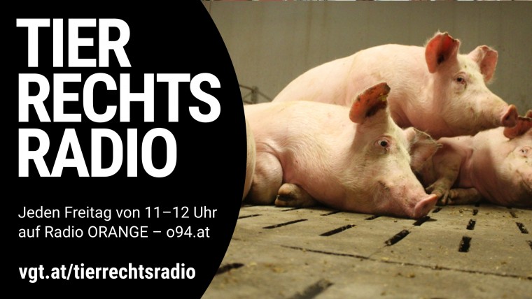 Bild zu dieser Radiosendung