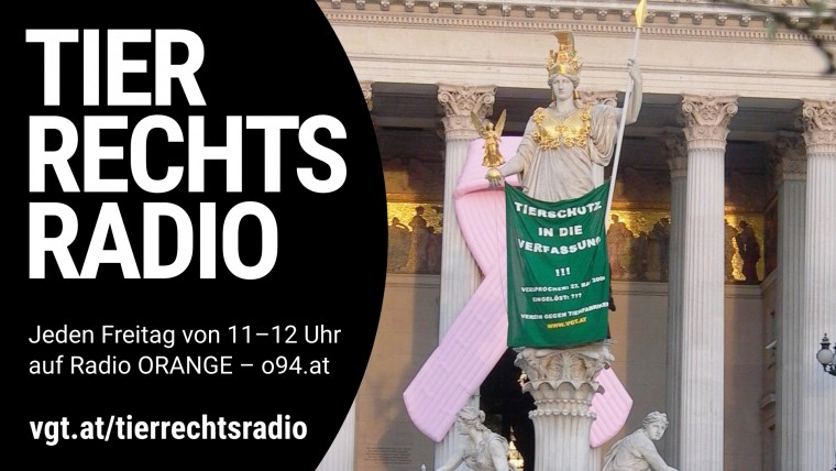 Bild zu dieser Radiosendung