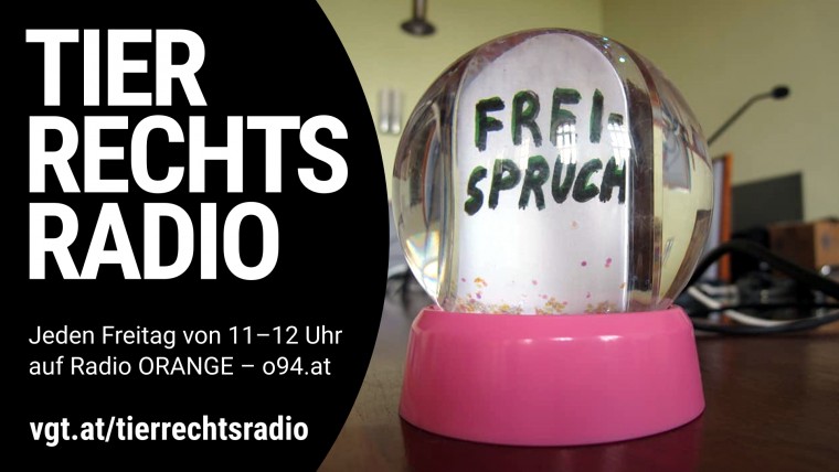 Bild zu dieser Radiosendung