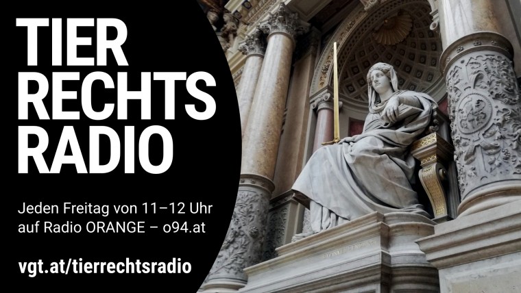 Bild zu dieser Radiosendung