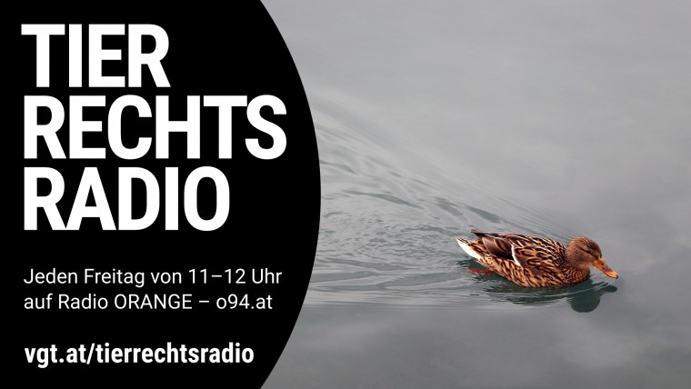 Bild zu dieser Radiosendung