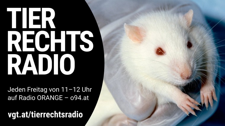 Bild zu dieser Radiosendung