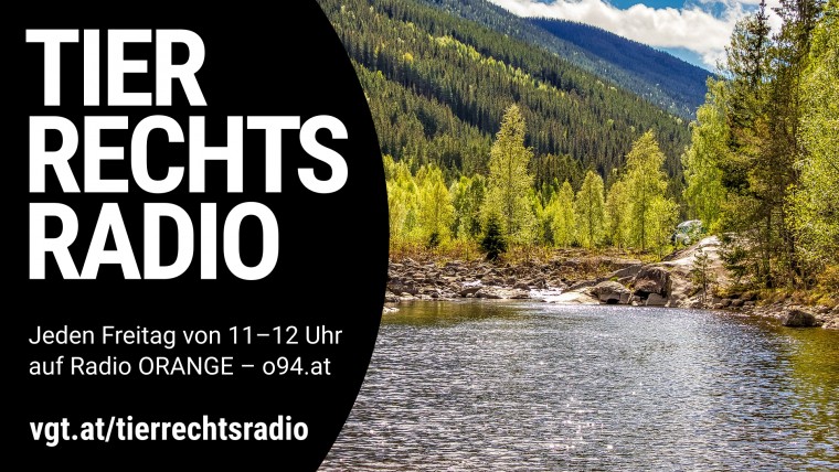Bild zu dieser Radiosendung