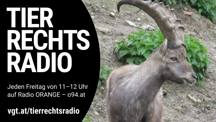 Bild zu dieser Radiosendung