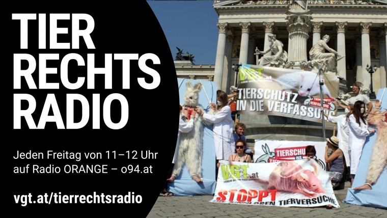 Bild zu dieser Radiosendung