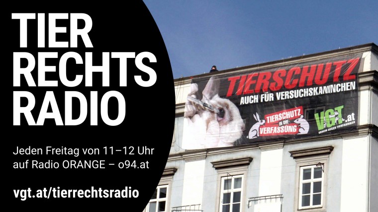 Bild zu dieser Radiosendung