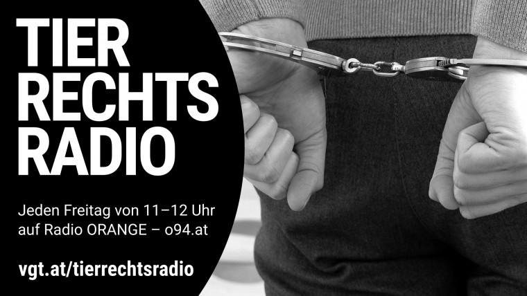 Bild zu dieser Radiosendung