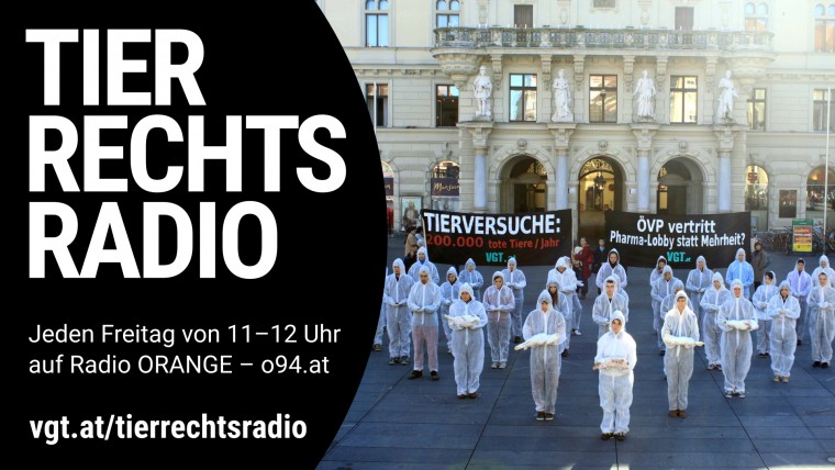 Bild zu dieser Radiosendung