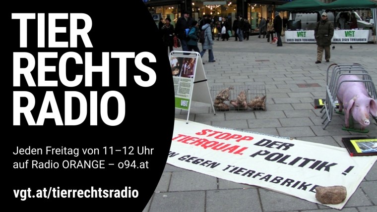 Bild zu dieser Radiosendung
